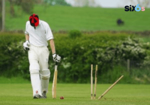 cricket, stumps, ball-cricket exchange betting